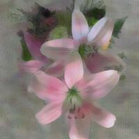 Buy canvas prints of Soft Pastel Pink Lilies by Deanne Flouton