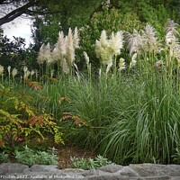 Buy canvas prints of Feathered Garden Paradise by Deanne Flouton
