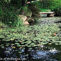 Buy canvas prints of Peaceful Reflections Panorama by Deanne Flouton