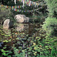 Buy canvas prints of Tranquil Zen Pond Oasis by Deanne Flouton