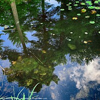 Buy canvas prints of Serene Reflections by Deanne Flouton