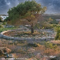 Buy canvas prints of  Threshing Circle Tree in Menorca by Deanne Flouton