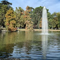 Buy canvas prints of Tranquil Oasis in Madrid by Deanne Flouton