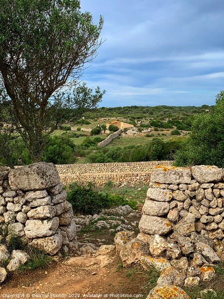 Countryside View Menorca Spain Picture Board by Deanne Flouton