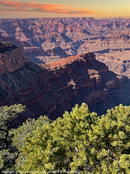 Captivating Sunrise Overlooking the Grand Canyon Picture Board by Deanne Flouton