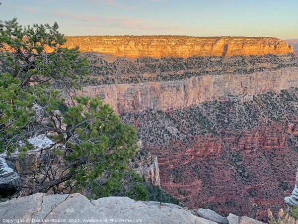 Breathtaking  Sunrise at the Grand Canyon Picture Board by Deanne Flouton