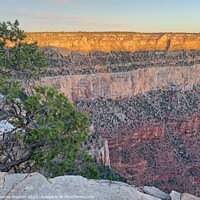 Buy canvas prints of Breathtaking  Sunrise at the Grand Canyon by Deanne Flouton