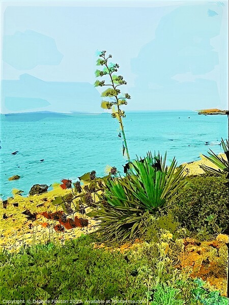 Aloe Plant on Santo Tomas Shore in Menorca Picture Board by Deanne Flouton