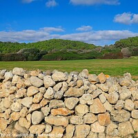 Buy canvas prints of San Adeodato Field Panorama Menorca by Deanne Flouton