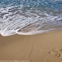 Buy canvas prints of Fading Footprint on the Sand by Deanne Flouton