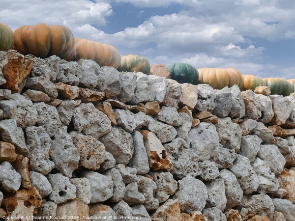 Pumpkin Wall in Menorca Spain Picture Board by Deanne Flouton
