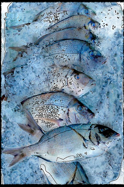 Fresh Catch on Ice Picture Board by Deanne Flouton