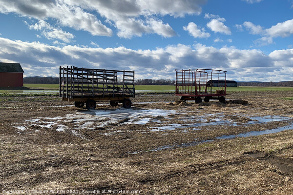  Hay Wagons in Winter Picture Board by Deanne Flouton