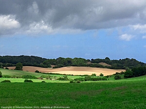 Rolling Hills of Menorca Picture Board by Deanne Flouton