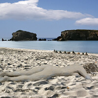 Buy canvas prints of Surreal Sea Sculpture by Deanne Flouton