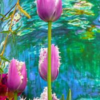 Buy canvas prints of Monets Garden in Bloom by Deanne Flouton