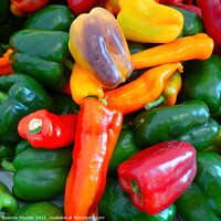 Buy canvas prints of Rainbow of Peppers by Deanne Flouton