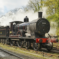 Buy canvas prints of T9 30129 Steam Train by Ashley Jackson