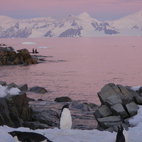 Buy canvas prints of Dusk on the Antarctic Peninsula. by Richard Simpson