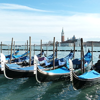 Buy canvas prints of  Gondolas in Venice by Muriel Lambolez