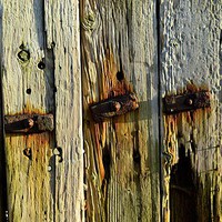 Buy canvas prints of old rustic wooden fence by Rhona Ward