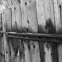 Buy canvas prints of old rustic fence by Rhona Ward