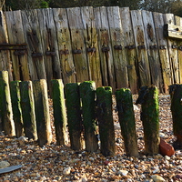 Buy canvas prints of old beach fence at gurnard by Rhona Ward
