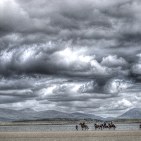 Buy canvas prints of Horse Treking in Ireland by Andy Huntley