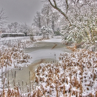 Buy canvas prints of Frozen in Reigate by Andy Huntley