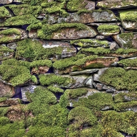 Buy canvas prints of Dry Stone Wall by Andy Huntley