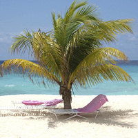 Buy canvas prints of Barbados Beach by Andy Huntley