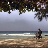 Buy canvas prints of Barbados Rush Hour by Andy Huntley