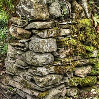 Buy canvas prints of Drystone Wall by Andy Huntley