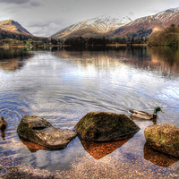 Buy canvas prints of Ducks on Grasmere by Andy Huntley