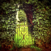 Buy canvas prints of Gate in Hedge by Andy Huntley