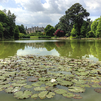 Buy canvas prints of Sheffield Park by Andy Huntley