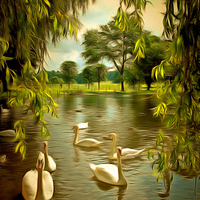 Buy canvas prints of  Swan Lake by Andy Huntley