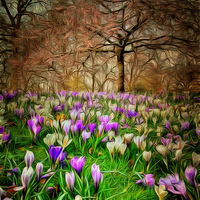 Buy canvas prints of  Early Spring by Andy Huntley