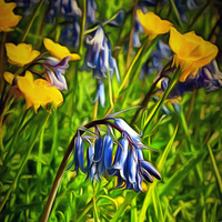 Buy canvas prints of  Bluebells and Buttercups by Andy Huntley