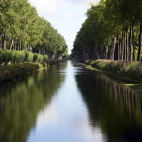 Buy canvas prints of Damme Canal Relection by Carolyn Eaton