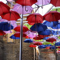 Buy canvas prints of Umbrella Shade by Carolyn Eaton