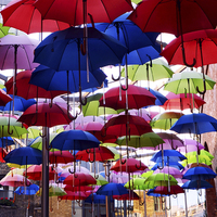 Buy canvas prints of Umbrella Shade Square by Carolyn Eaton