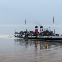 Buy canvas prints of  The Waverley Emerges from the Mist by Carolyn Eaton