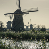 Buy canvas prints of  Windmills by Carolyn Eaton