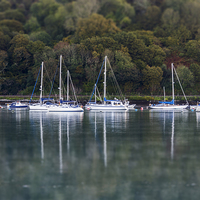 Buy canvas prints of  Boats on the River Dart by Carolyn Eaton