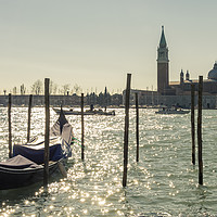 Buy canvas prints of Gondolas in Venice by Carolyn Eaton