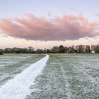 Buy canvas prints of Winter on the Downs, Bristol by Carolyn Eaton