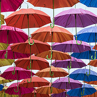 Buy canvas prints of Umbrellas! by Carolyn Eaton
