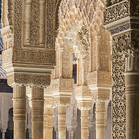 Buy canvas prints of Nasrid Palace, Alhambra by Carolyn Eaton