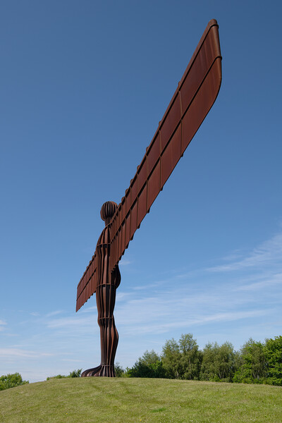 Angel of the north Picture Board by Alan Tunnicliffe